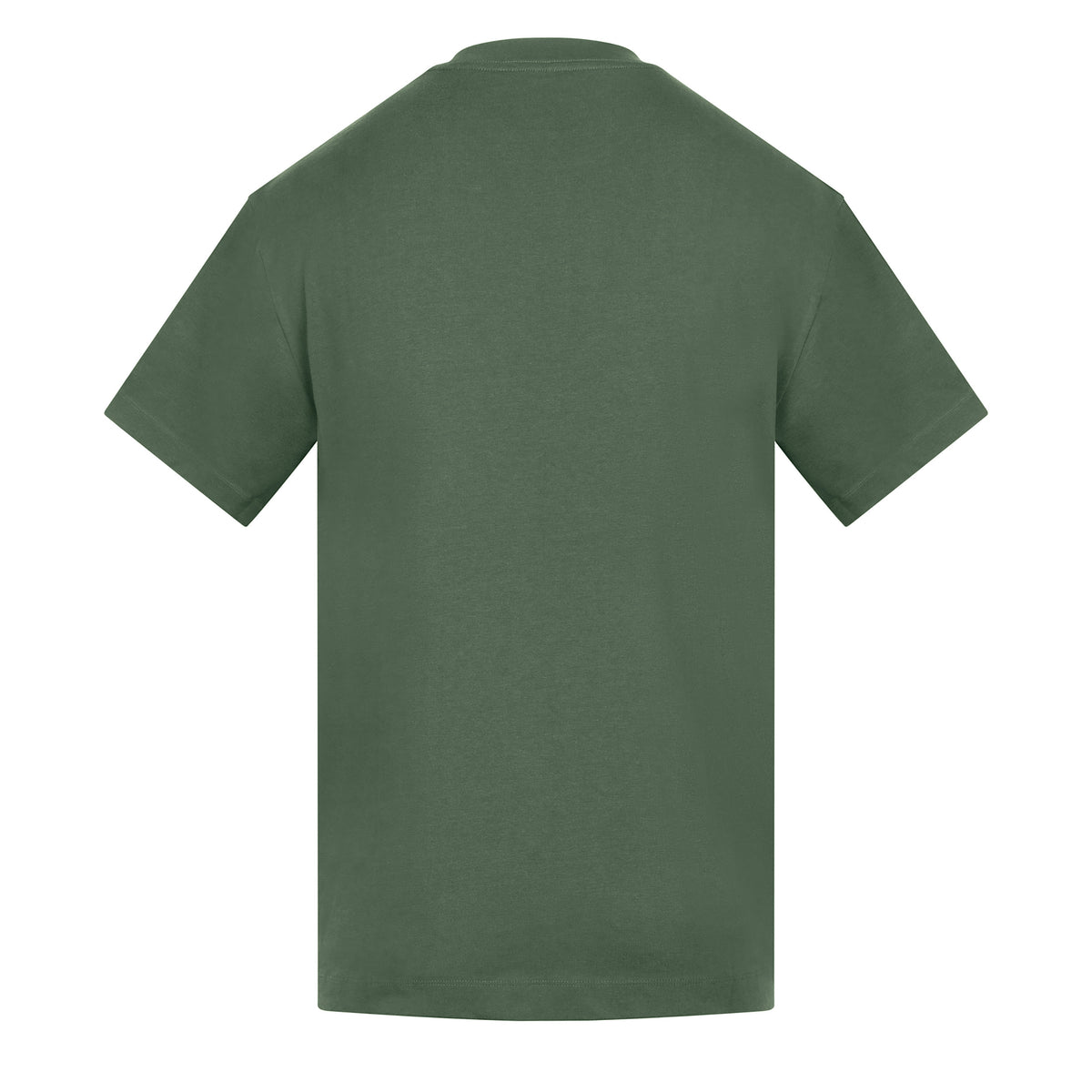 AM018_GreenMist_BACK.jpg