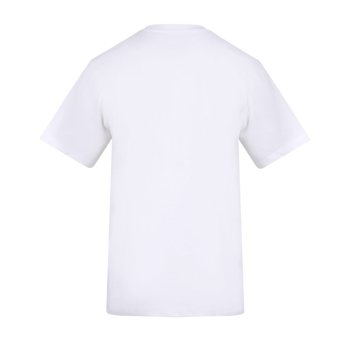 AT002_ArcticWhite_BACK.jpg