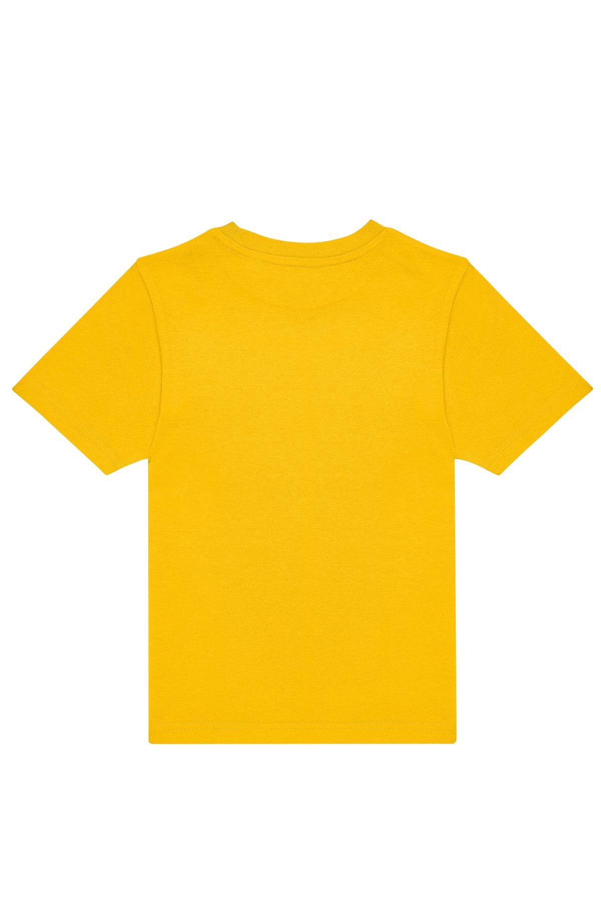 B220B_Gold_BACK.jpg