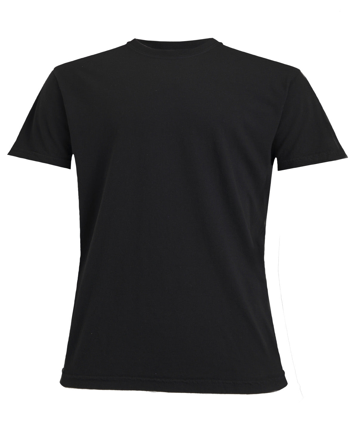 Heavyweight adult t-shirt