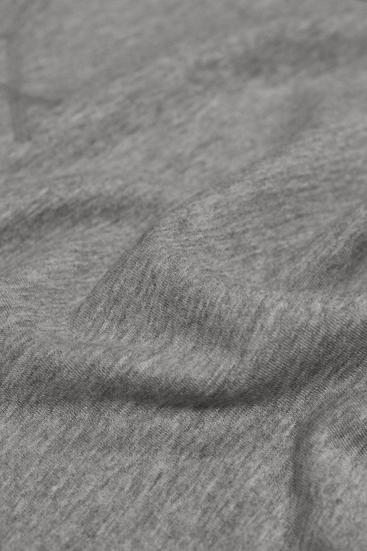 N141F_LS33_2026.jpg