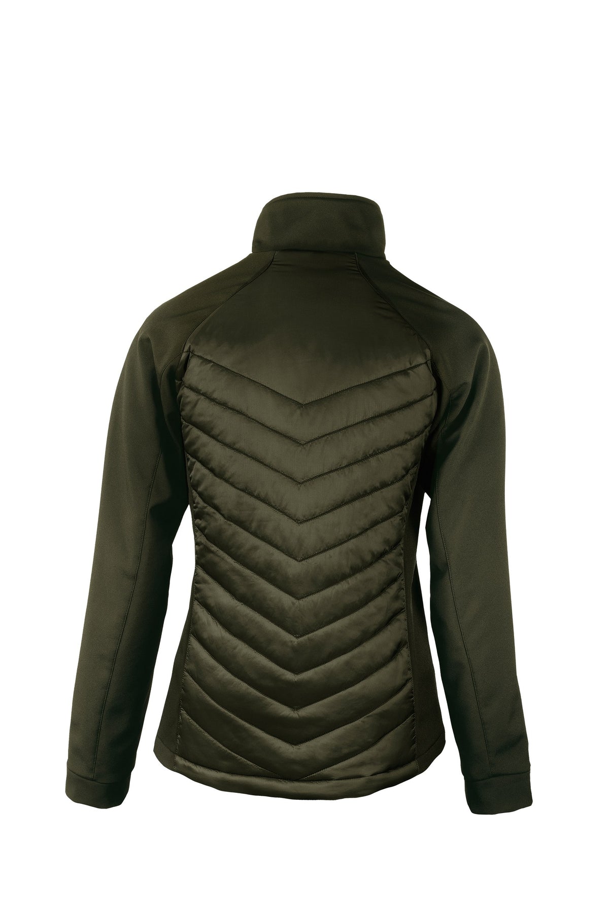 NP09F_Olive_BACK.jpg