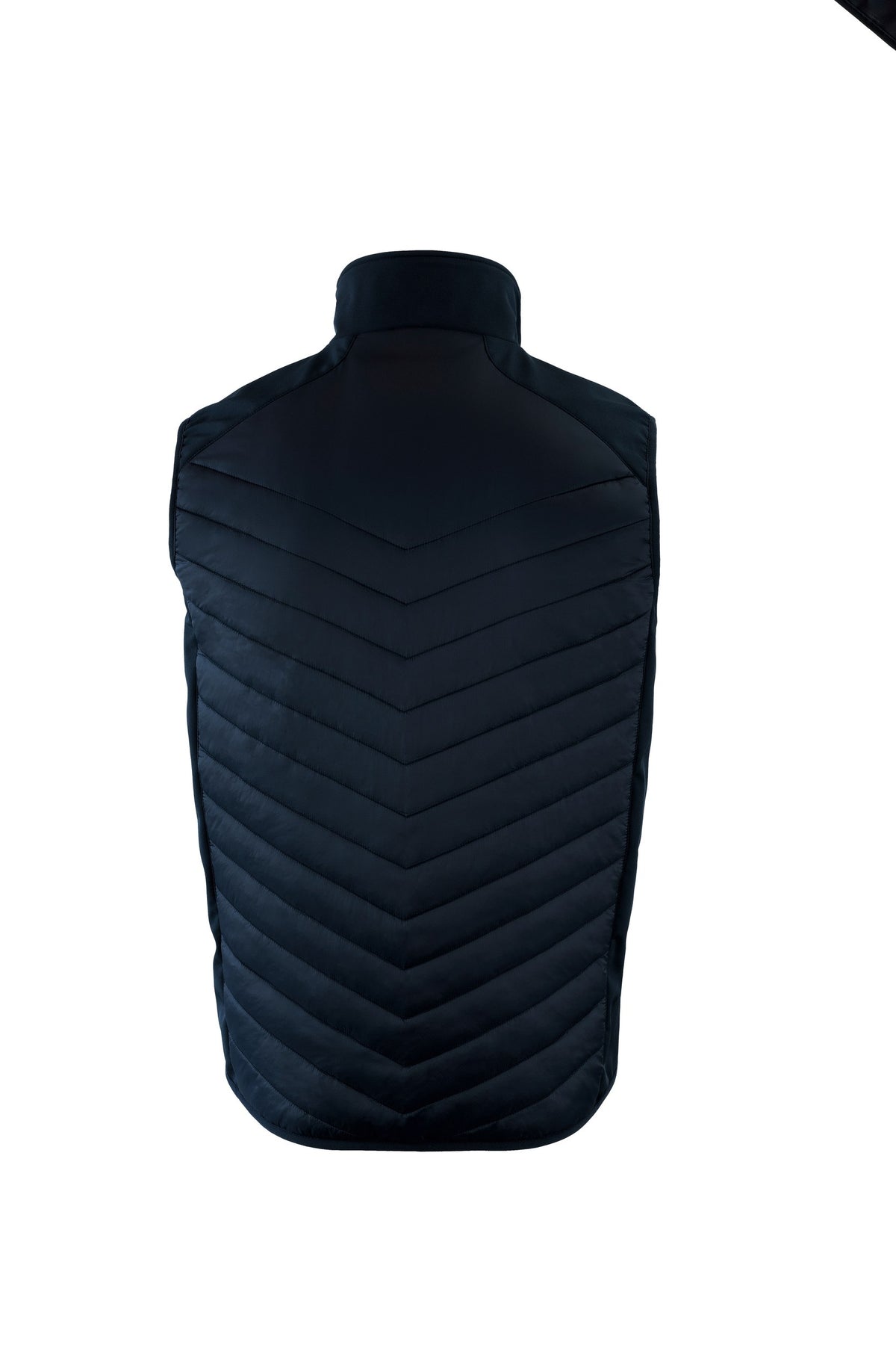 NP10M_Navy_BACK.jpg