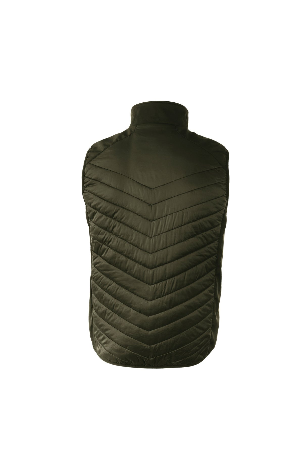 NP10M_Olive_BACK.jpg