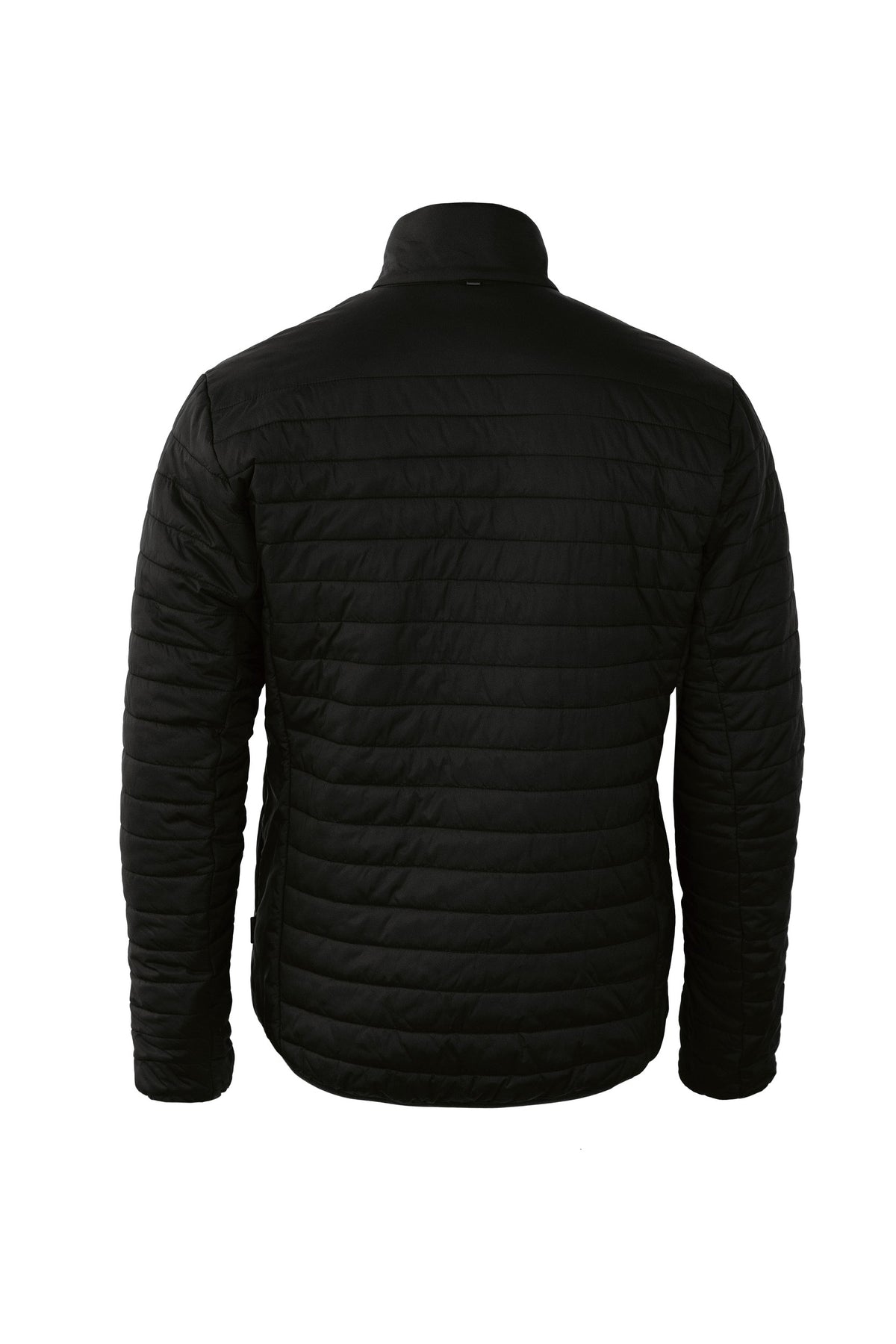 NP11M_Black_BACK.jpg