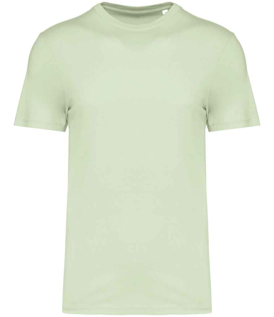 Native Spirit Unisex T-Shirt - Celadon Green
