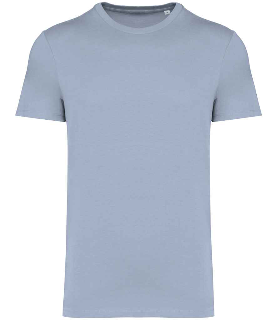 Native Spirit Unisex Heavyweight T-Shirt - Aquamarine