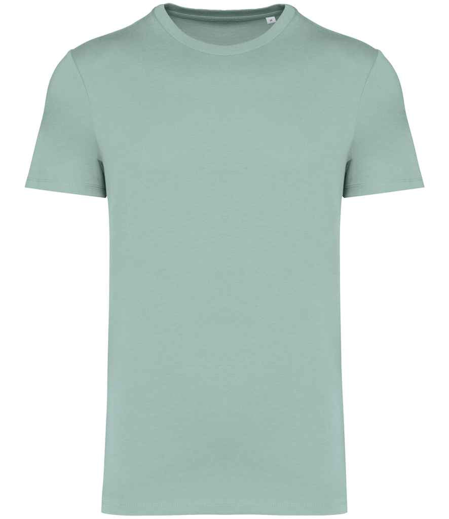 Native Spirit Unisex Heavyweight T-Shirt - Jade Green