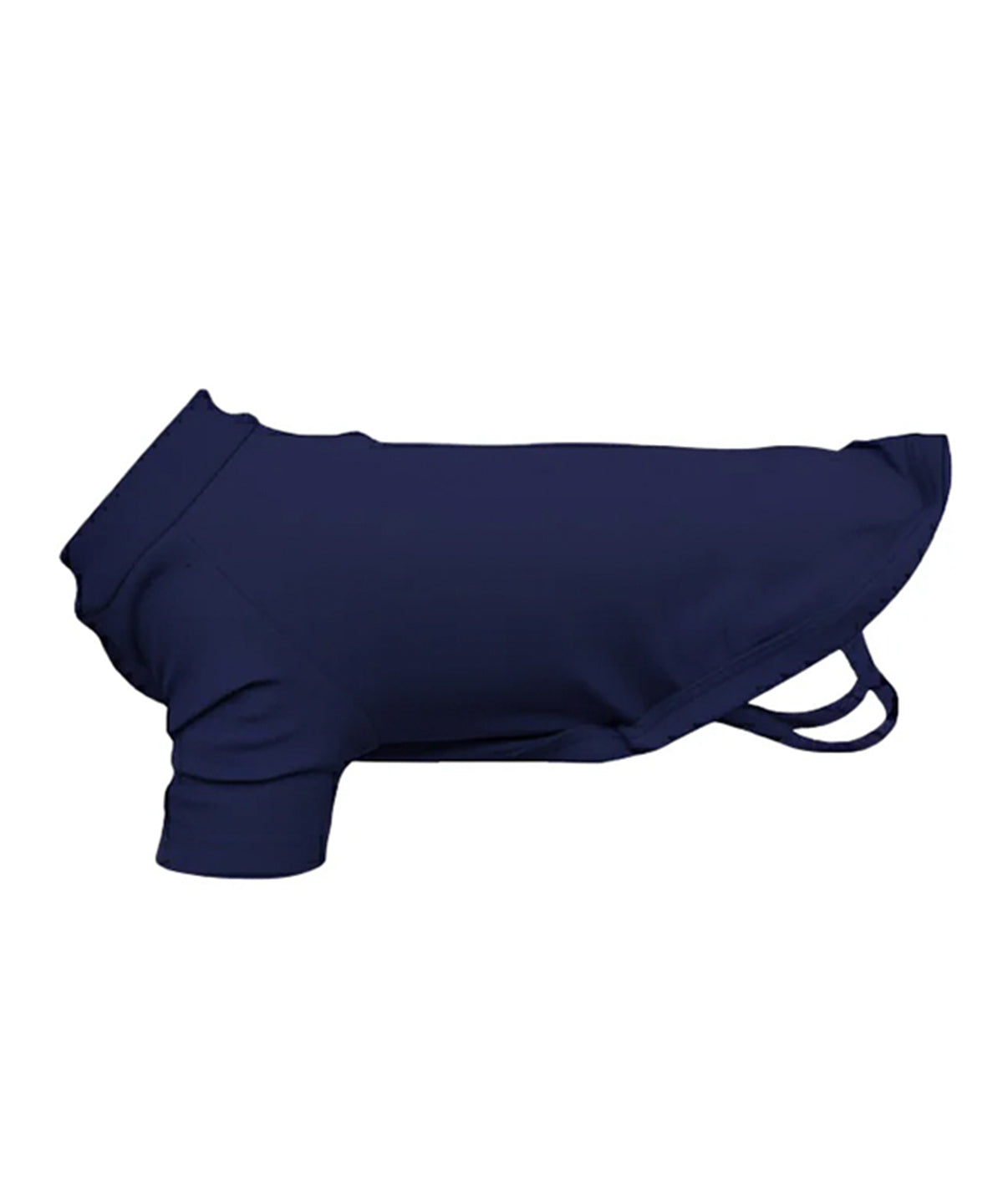 Dog’s raglan t-shirt