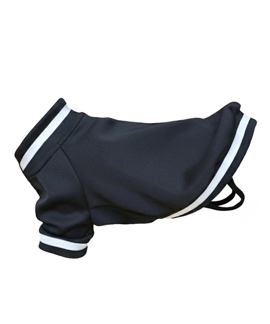 Dog’s varsity jacket