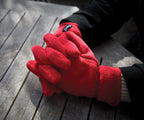 R144X_LS00_2026.jpg