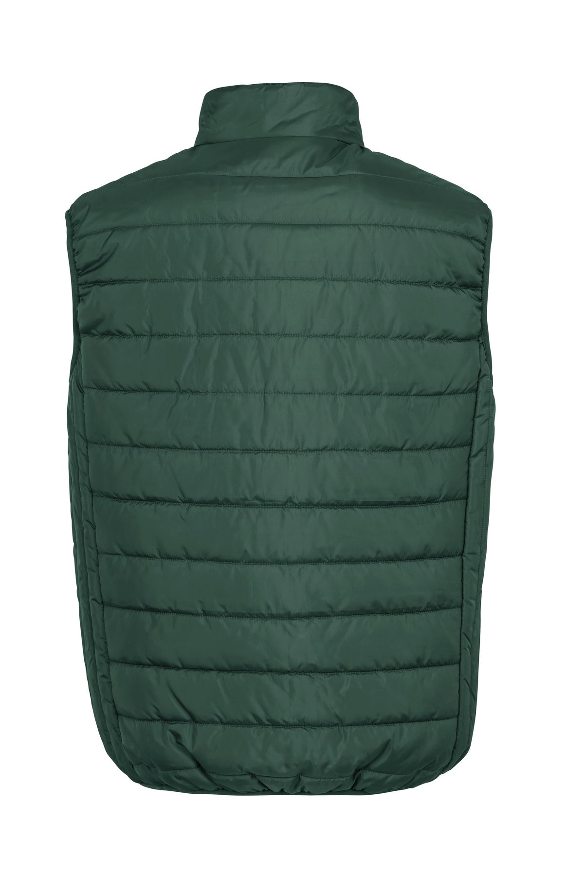 R244X_BottleGreen_BACK.jpg