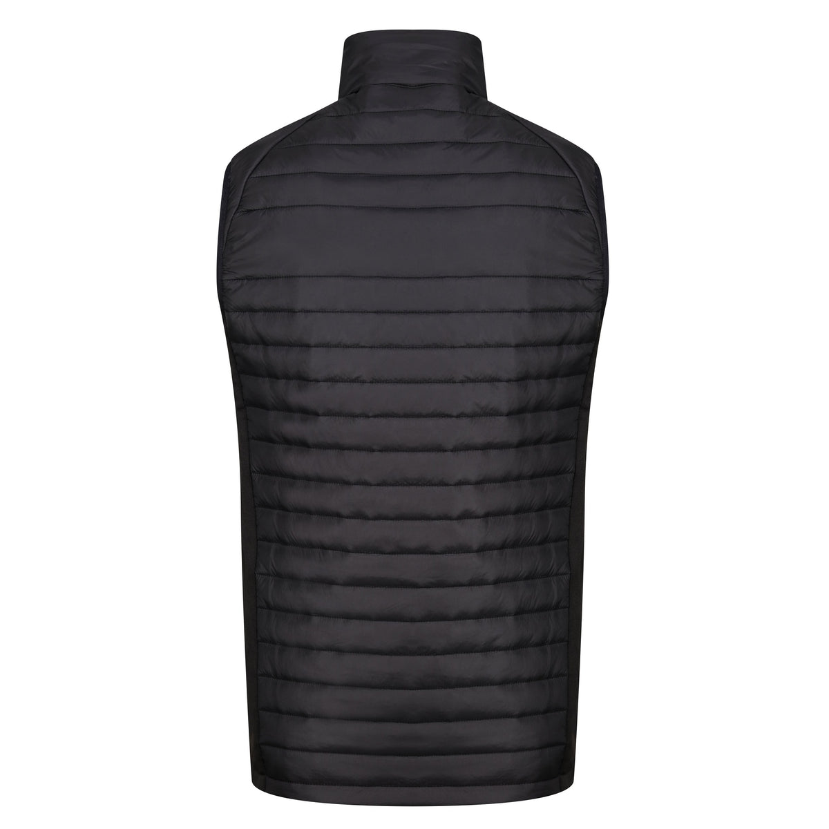 RG341_Black_NewRoyal_BACK.jpg