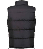 Regatta Northdale Insulated Bodywarmer - Black