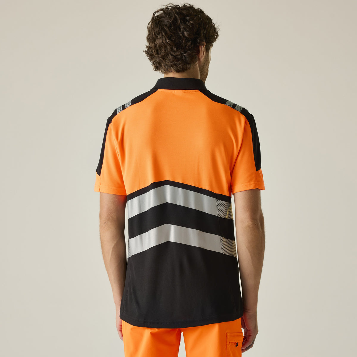 RG482_LS01_2026.jpg