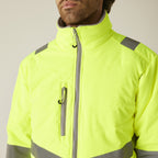 RG484_LS40_2026.jpg