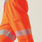 RG489_LS40_2026.jpg