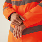 RG490_LS41_2026.jpg