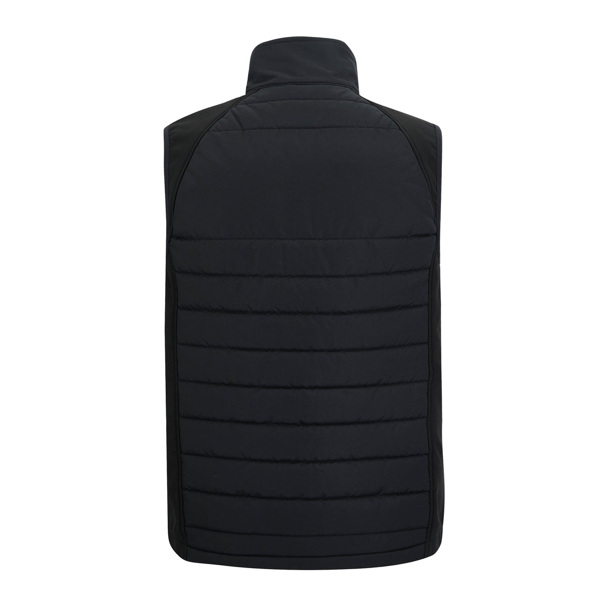 RG643_Black_Ash_BACK.jpg