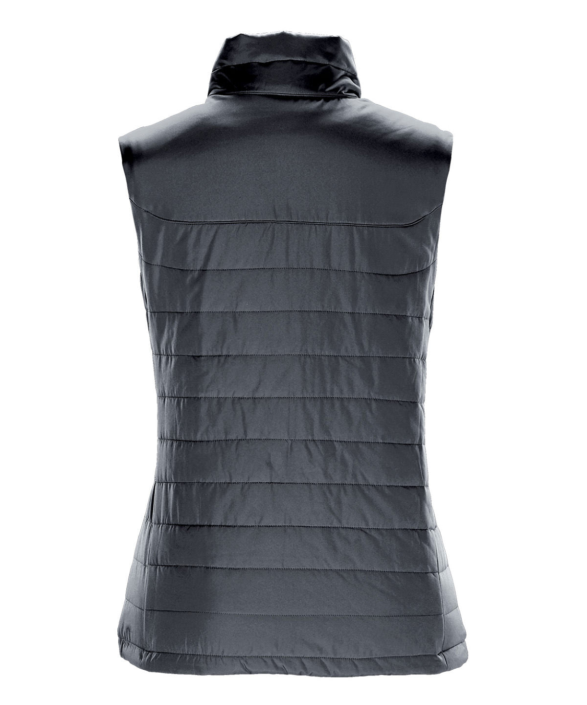 ST191_Dolphin_BACK.jpg