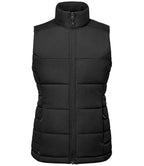 Stormtech Ladies Sierra Quilted Bodywarmer - Black