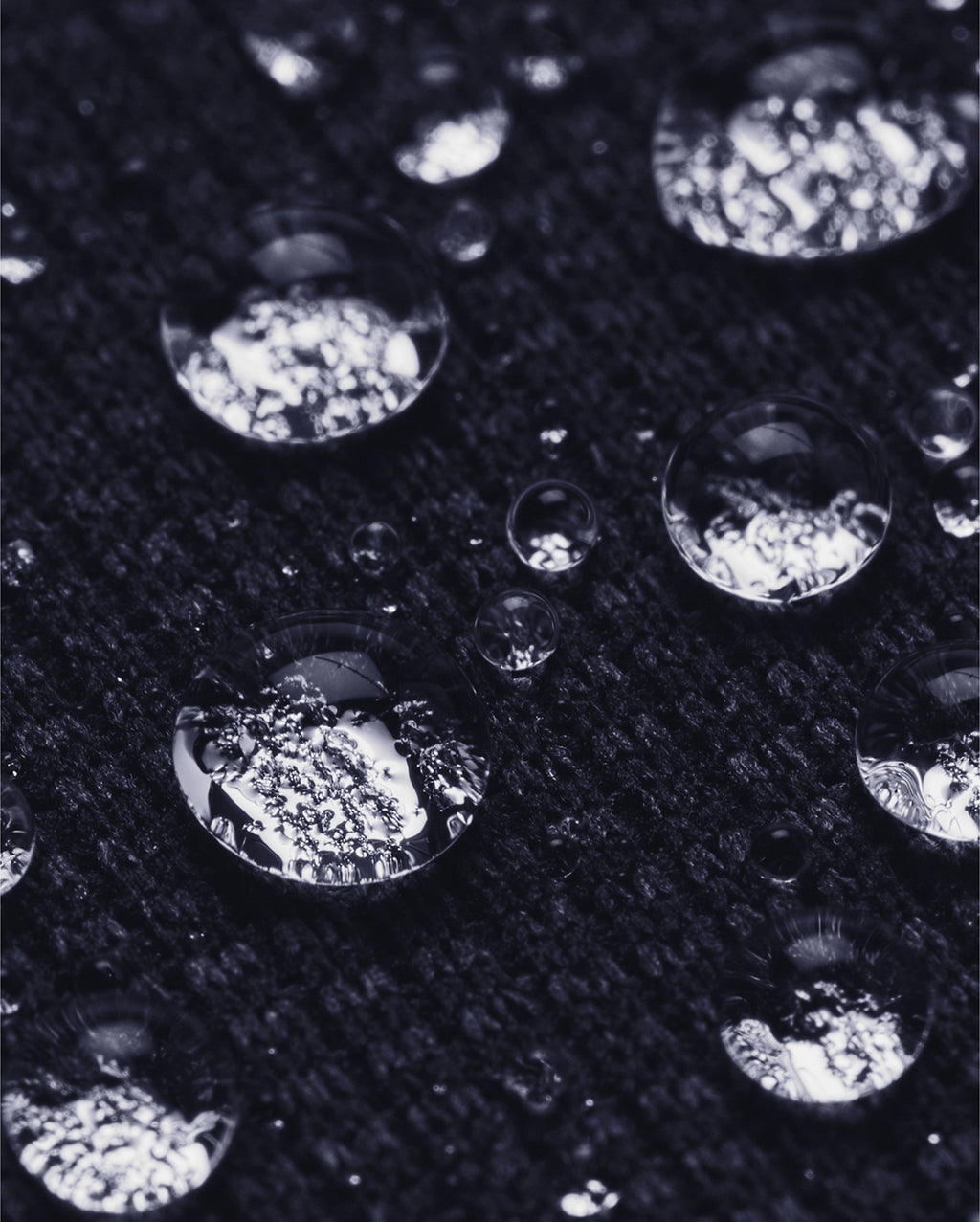 UG031_LS41_2026.jpg