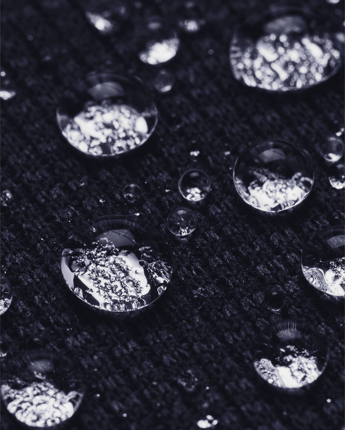 UG031_LS41_2026.jpg