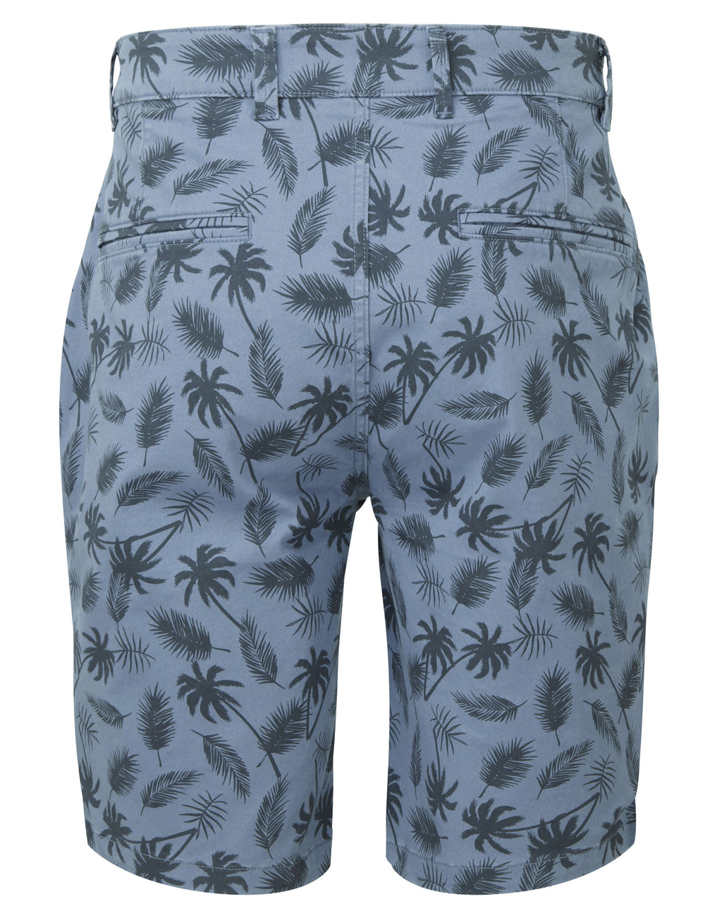 WB905_Blue_BACK.jpg