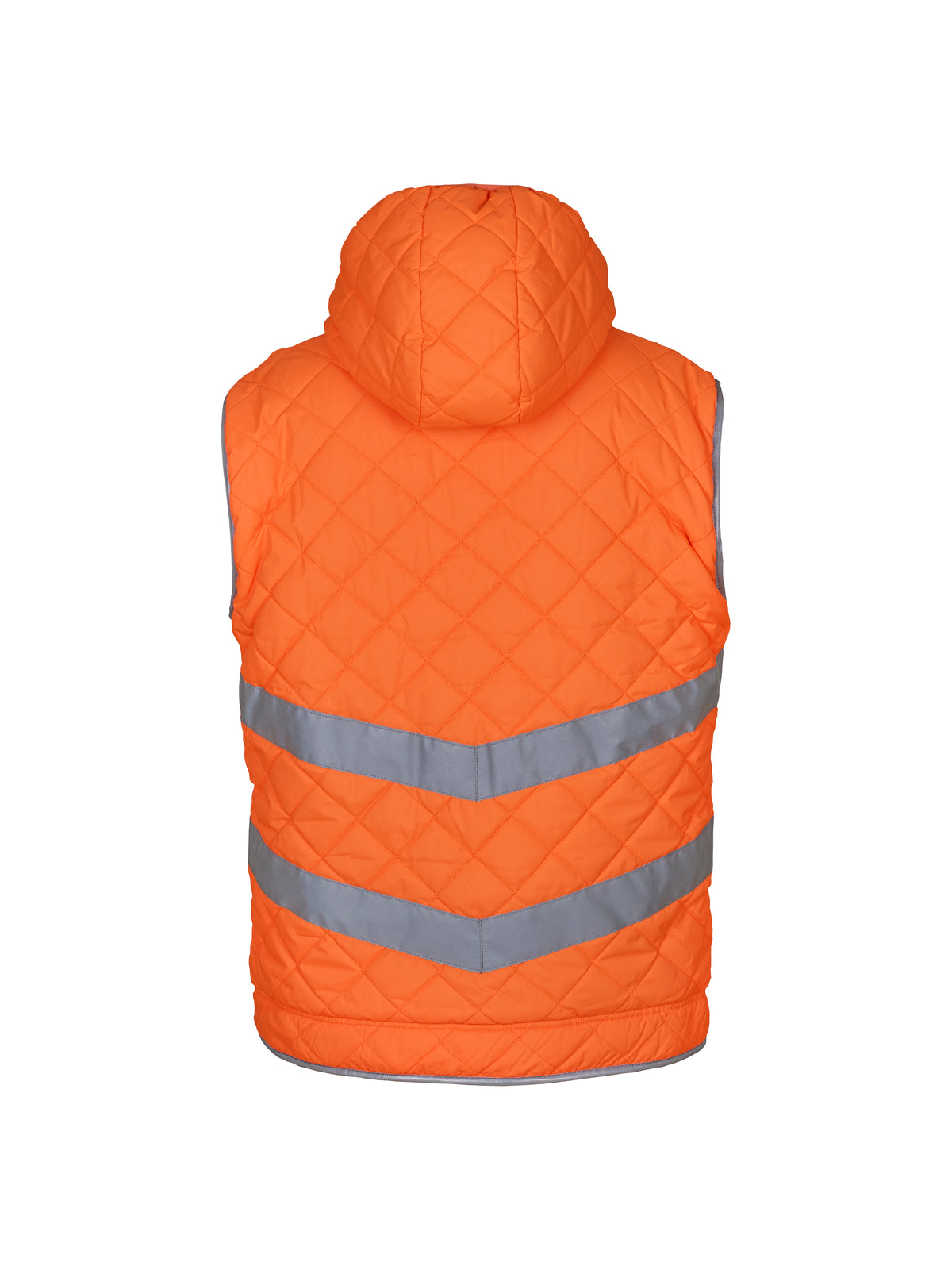 YK026_Orange_BACK.jpg