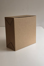 The plain kraft box the 4 inch night light comes in