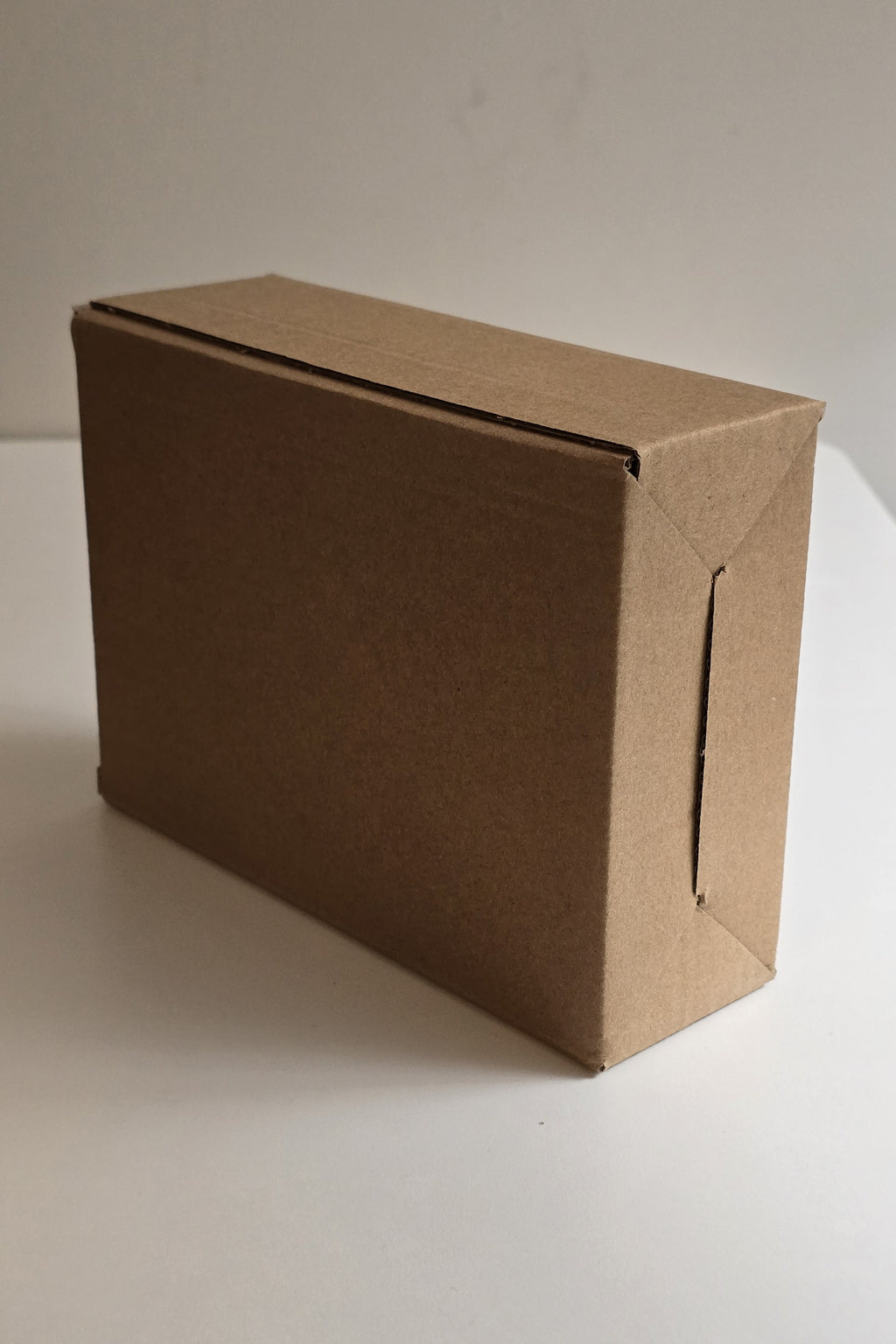 The plain kraft box the 6 inch night light comes in